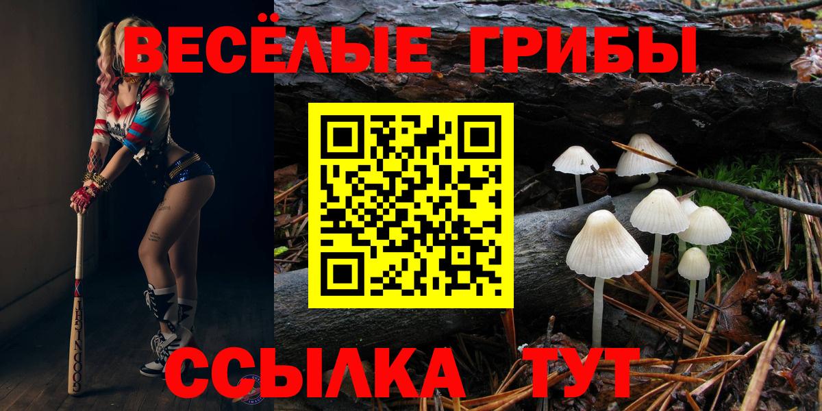 как найти закладки  Вход с VPN  Комсомольск-на-Амуре  Галлюциногенные грибы Magic Shrooms 