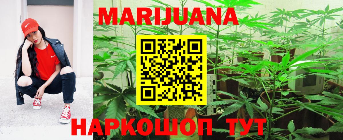 Конопля Ganja  Шишки марихуана план  Марихуана Ganja  Конопля OG Kush  Вход с VPN  Комсомольск-на-Амуре 